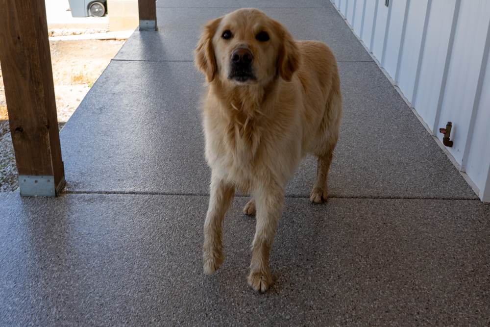 7 Reasons Why Polyurea Coatings Are Great For Driveways